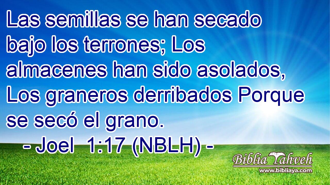  Las semillas se han secado bajo los terrones; Los almacenes han sido asolados, Los graneros derribados Porque se secó el grano. 
