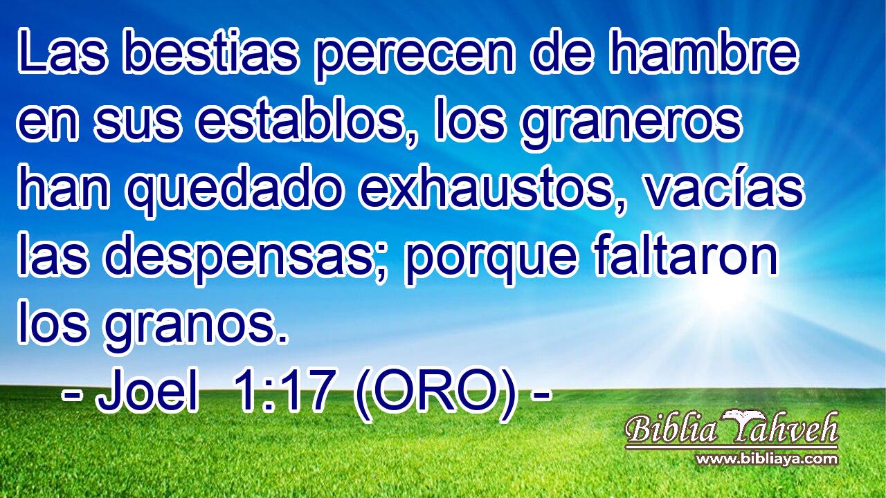  Las bestias perecen de hambre en sus establos, los graneros han quedado exhaustos, vacías las despensas; porque faltaron los granos. 