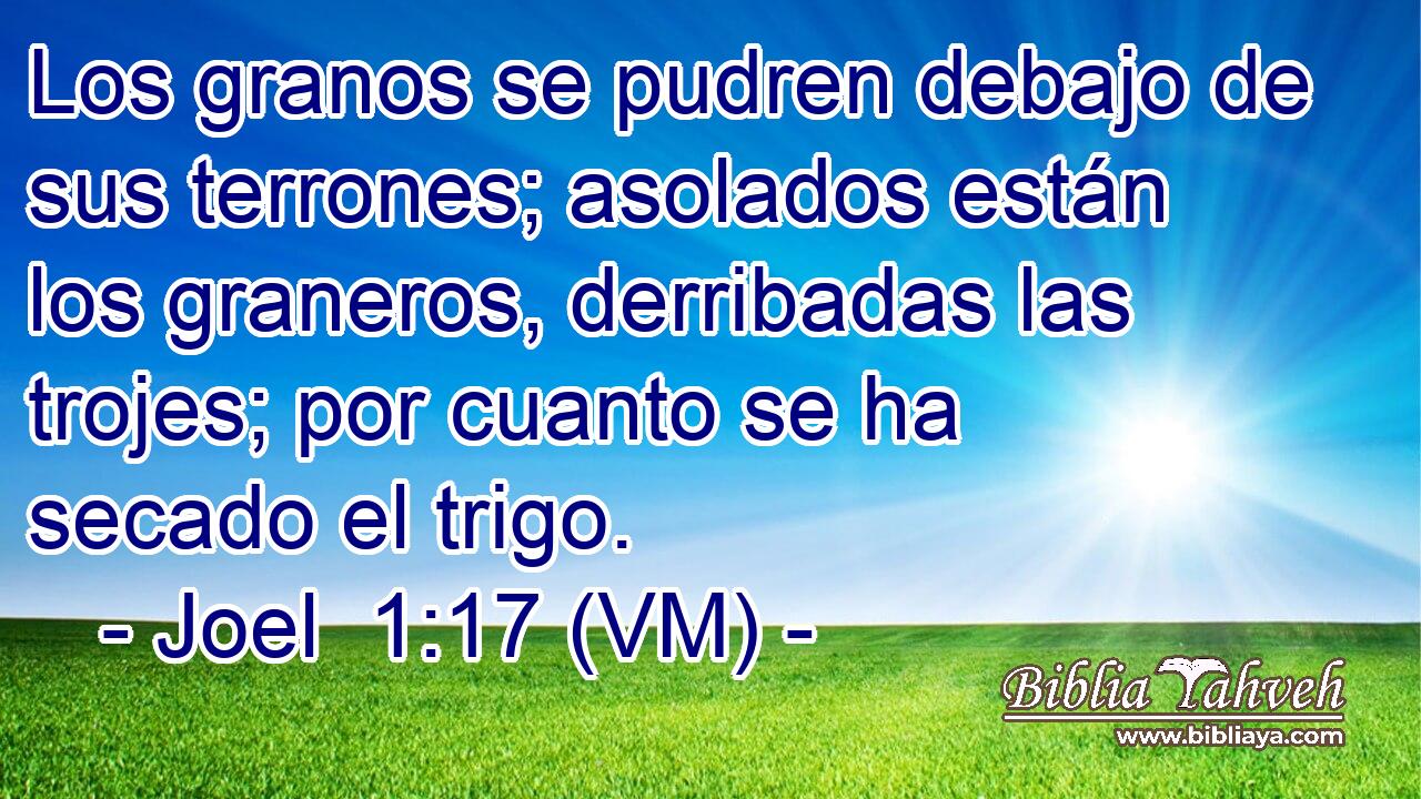  Los granos se pudren debajo de sus terrones; asolados están los graneros, derribadas las trojes; por cuanto se ha secado el trigo. 
