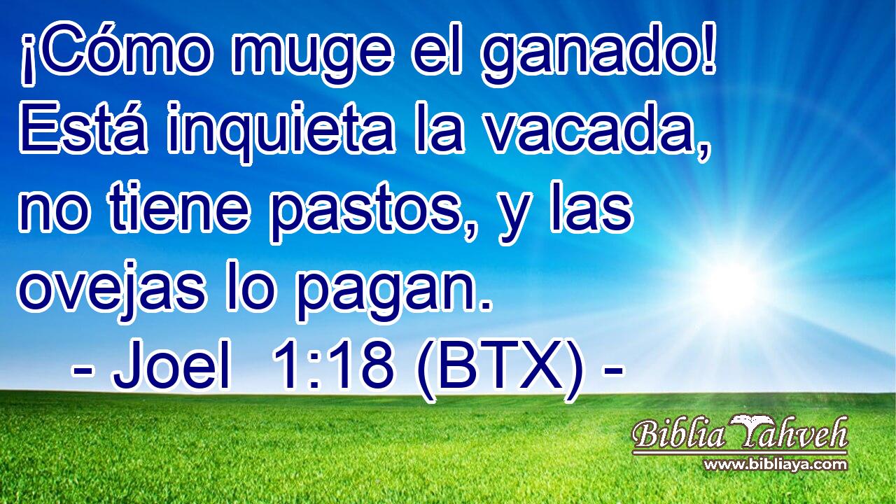 ¡Cómo muge el ganado! Está inquieta la vacada, no tiene pastos, y las ovejas lo pagan.