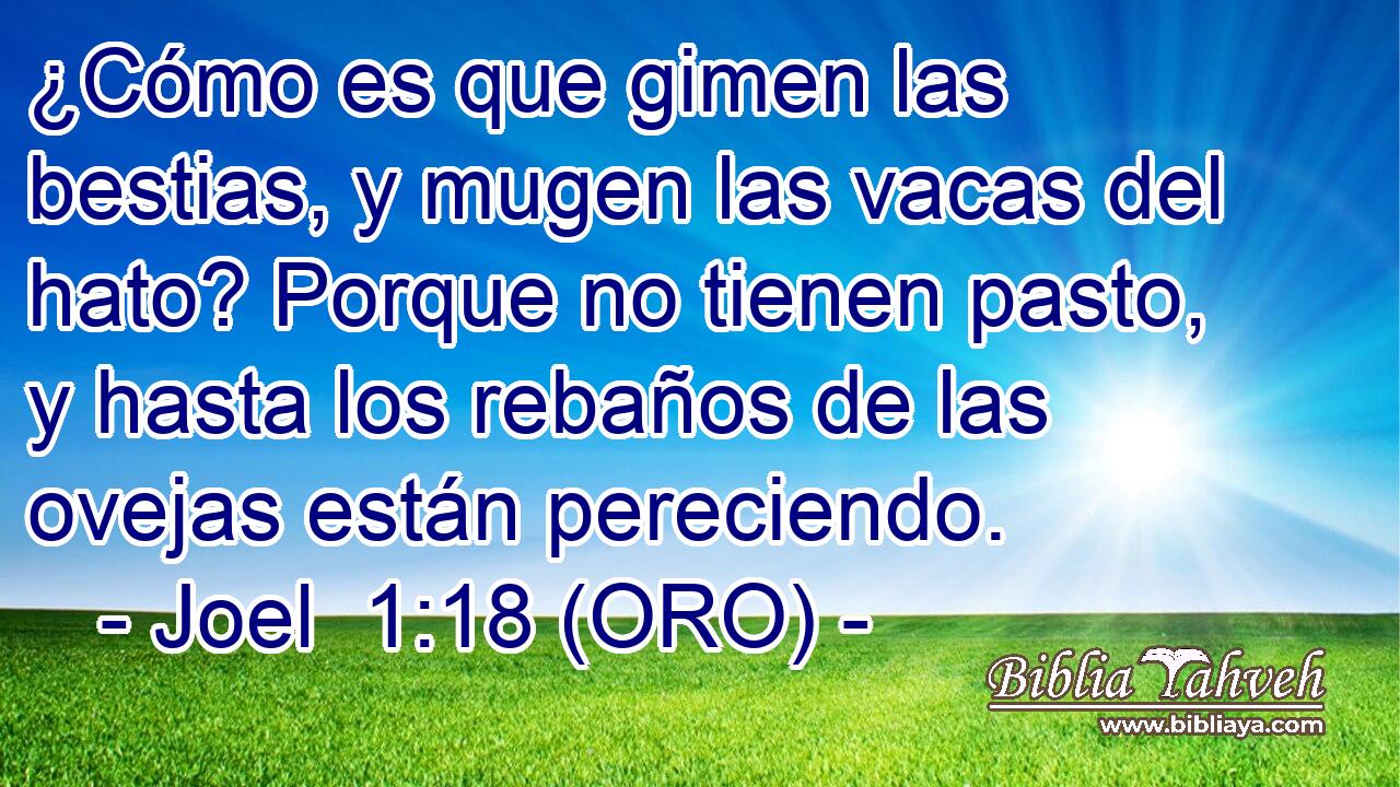  ¿Cómo es que gimen las bestias, y mugen las vacas del hato? Porque no tienen pasto, y hasta los rebaños de las ovejas están pereciendo. 