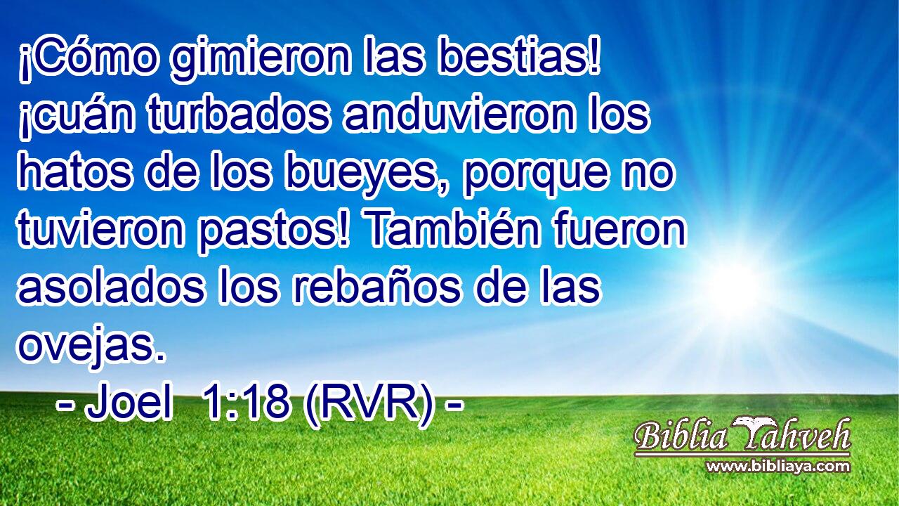 ¡Cómo gimieron las bestias! ¡cuán turbados anduvieron los hatos de los bueyes, porque no tuvieron pastos! También fueron asolados los rebaños de las ovejas.