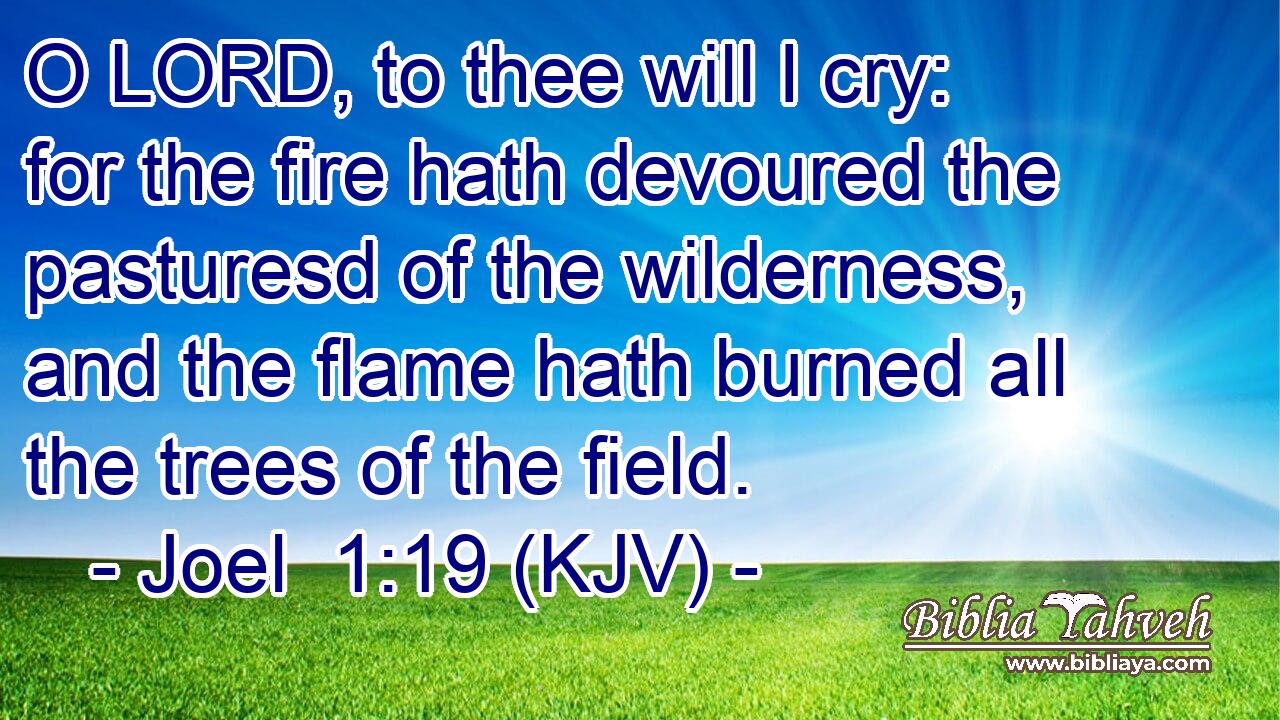 O LORD, to thee will I cry: for the fire hath devoured the pasturesd of the wilderness, and the flame hath burned all the trees of the field.