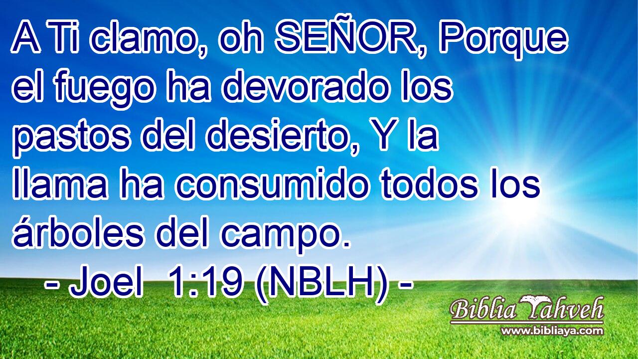  A Ti clamo, oh SEÑOR, Porque el fuego ha devorado los pastos del desierto, Y la llama ha consumido todos los árboles del campo. 