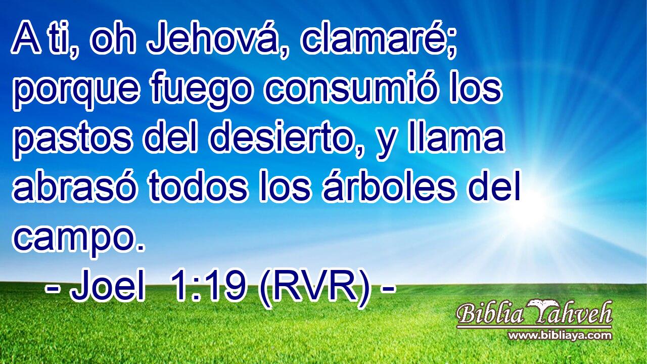 A ti, oh Jehová, clamaré; porque fuego consumió los pastos del desierto, y llama abrasó todos los árboles del campo.