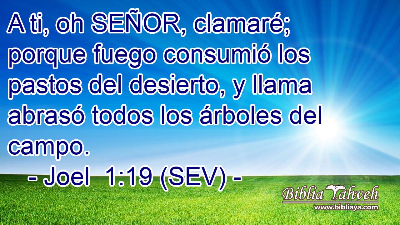 A ti, oh SEÑOR, clamaré; porque fuego consumió los pastos del desierto, y llama abrasó todos los árboles del campo.