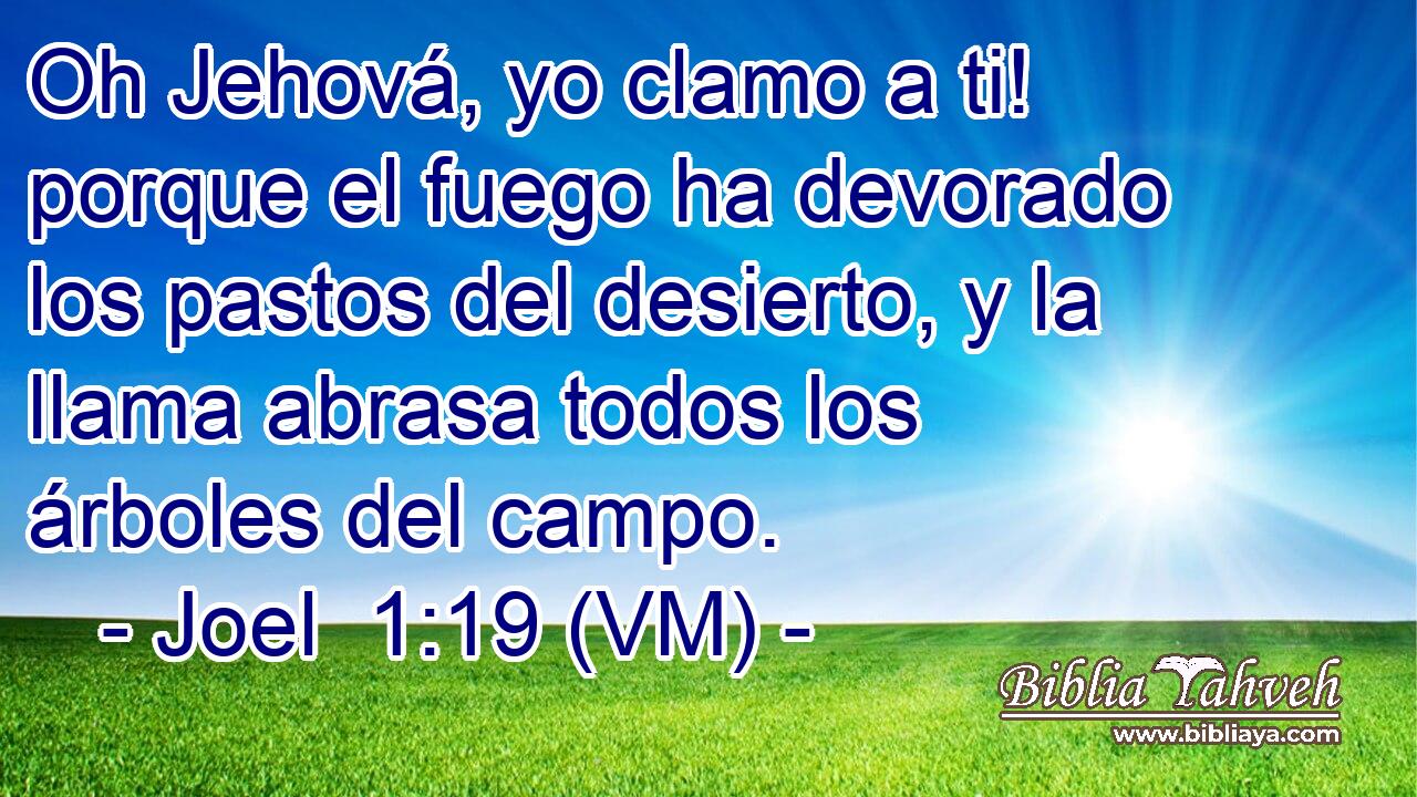  Oh Jehová, yo clamo a ti! porque el fuego ha devorado los pastos del desierto, y la llama abrasa todos los árboles del campo. 