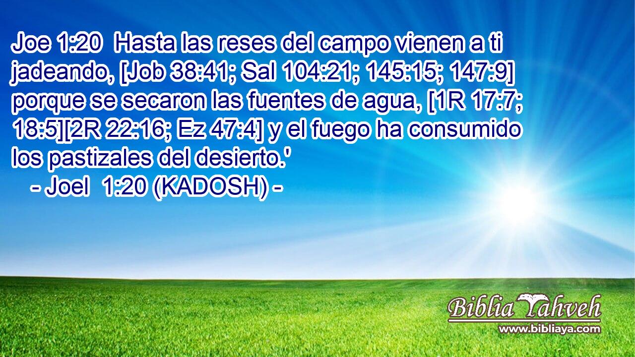  Hasta las reses del campo vienen a ti jadeando, [Job 38:41; Sal 104:21; 145:15; 147:9] porque se secaron las fuentes de agua, [1R 17:7; 18:5][2R 22:16; Ez 47:4] y el fuego ha consumido los pastizales del desierto.' 