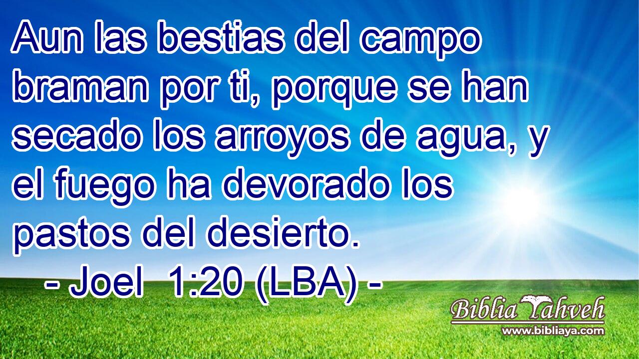 Aun las bestias del campo braman por ti, porque se han secado los arroyos de agua, y el fuego ha devorado los pastos del desierto.
