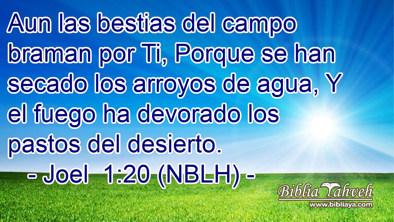  Aun las bestias del campo braman por Ti, Porque se han secado los arroyos de agua, Y el fuego ha devorado los pastos del desierto. 