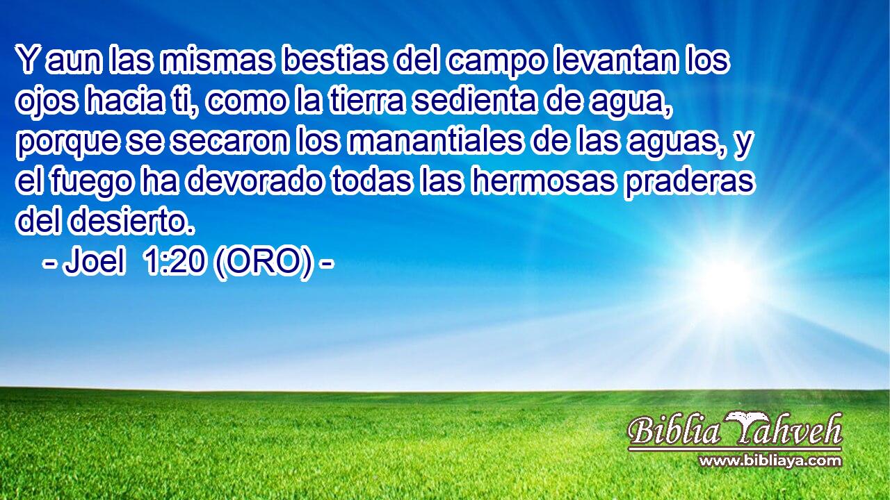  Y aun las mismas bestias del campo levantan los ojos hacia ti, como la tierra sedienta de agua, porque se secaron los manantiales de las aguas, y el fuego ha devorado todas las hermosas praderas del desierto. 