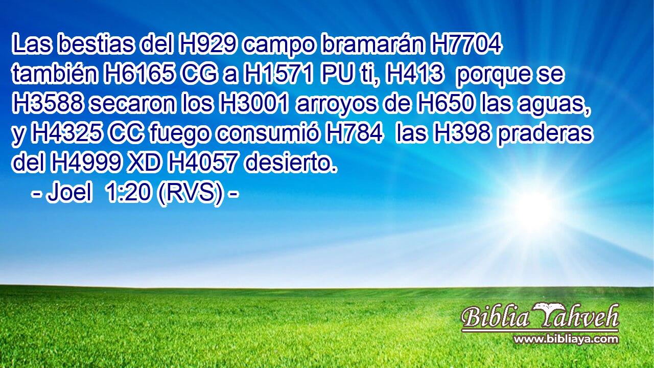 Las bestias del H929 campo bramarán H7704  también H6165 CG a H1571 PU ti, H413  porque se H3588 secaron los H3001 arroyos de H650 las aguas, y H4325 CC fuego consumió H784  las H398 praderas del H4999 XD H4057 desierto. 