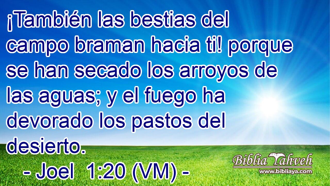  ¡También las bestias del campo braman hacia ti! porque se han secado los arroyos de las aguas; y el fuego ha devorado los pastos del desierto. 