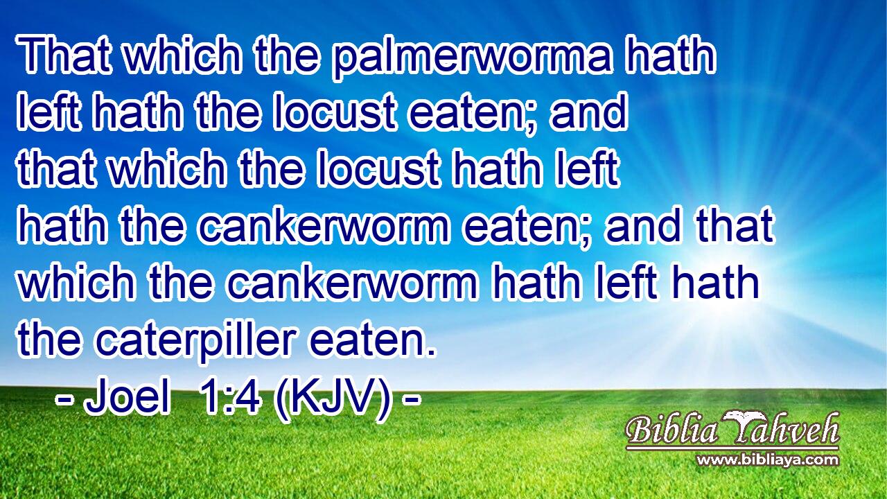 That which the palmerworma hath left hath the locust eaten; and that which the locust hath left hath the cankerworm eaten; and that which the cankerworm hath left hath the caterpiller eaten.
