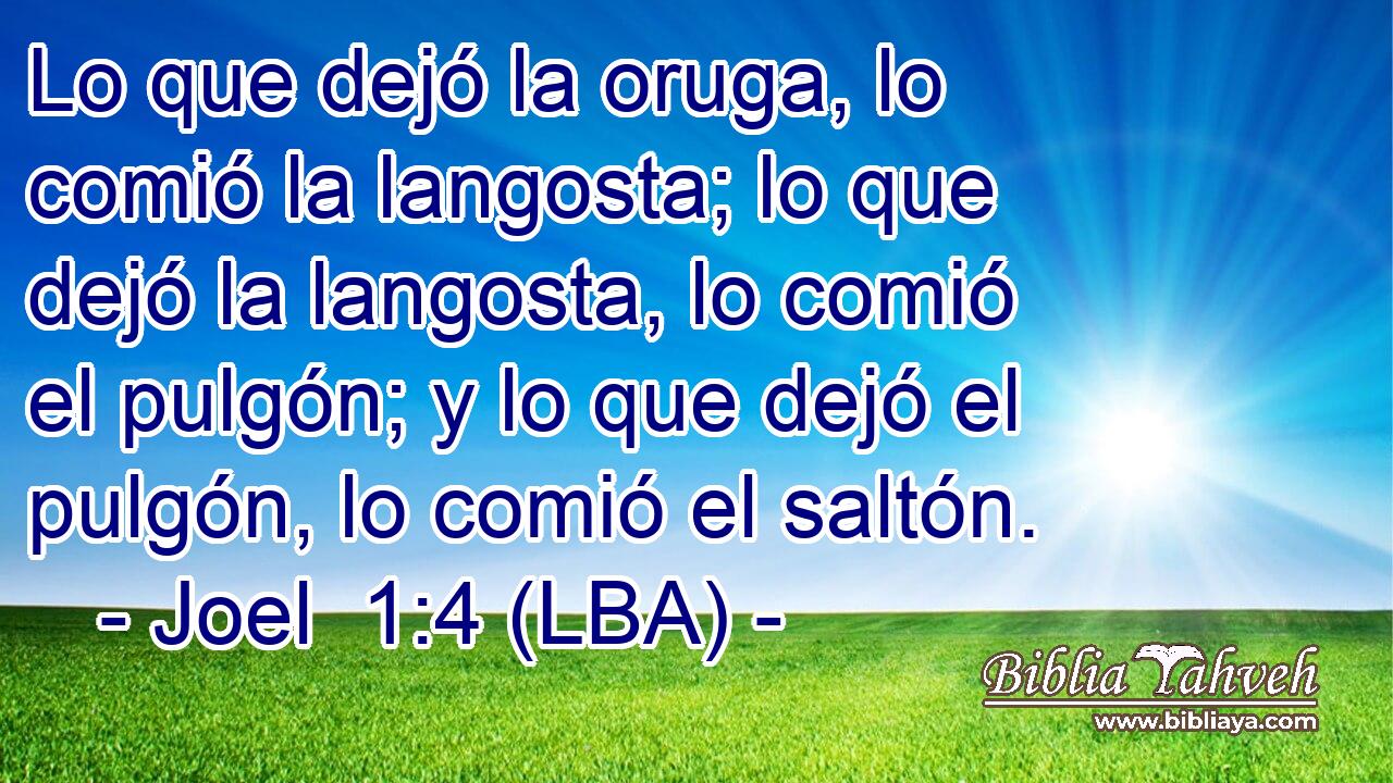 Lo que dejó la oruga, lo comió la langosta; lo que dejó la langosta, lo comió el pulgón; y lo que dejó el pulgón, lo comió el saltón.