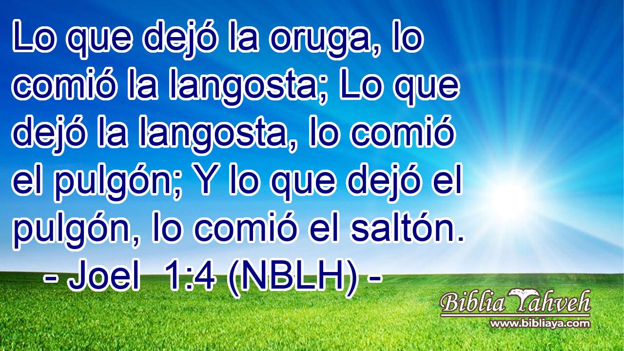  Lo que dejó la oruga, lo comió la langosta; Lo que dejó la langosta, lo comió el pulgón; Y lo que dejó el pulgón, lo comió el saltón. 