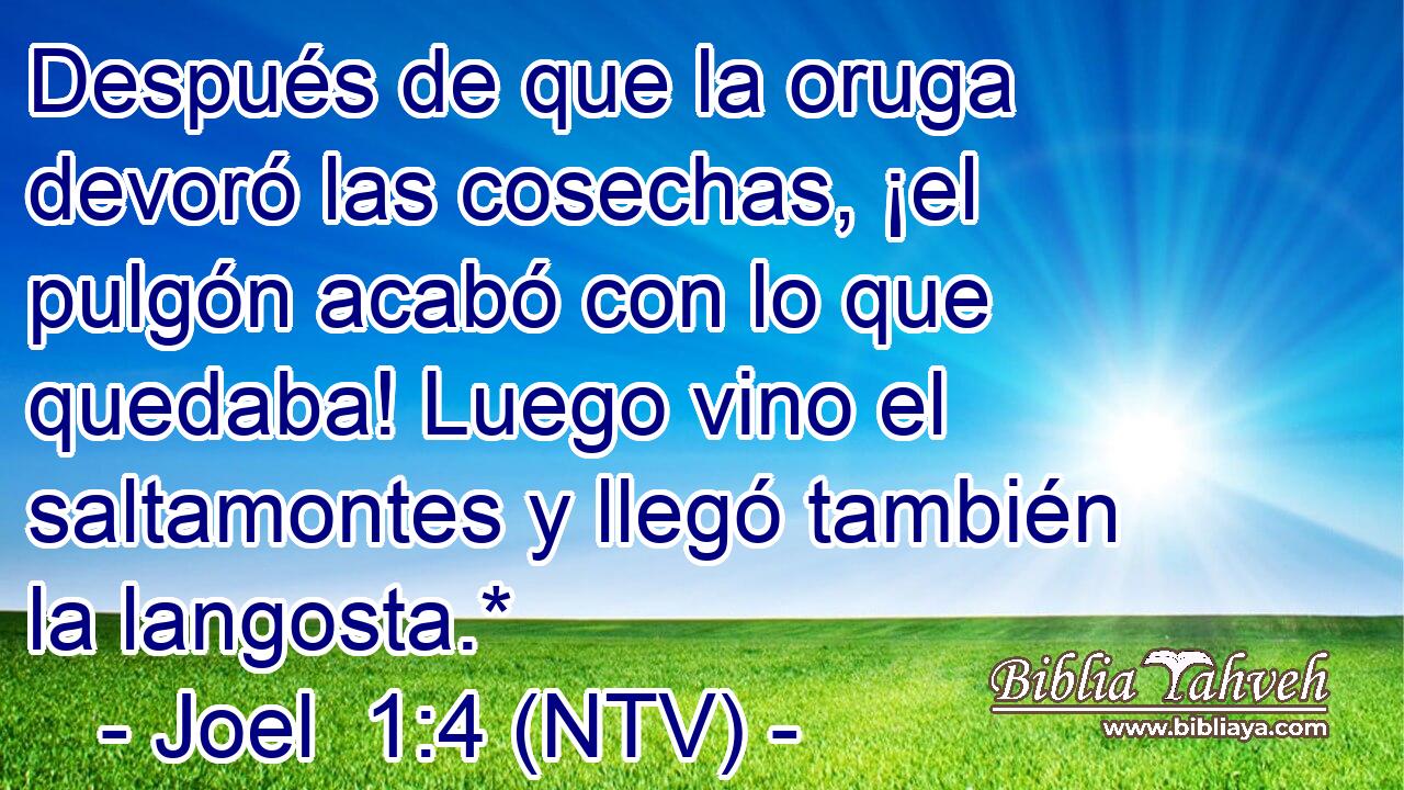 Después de que la oruga devoró las cosechas, ¡el pulgón acabó con lo que quedaba! Luego vino el saltamontes y llegó también la langosta.*