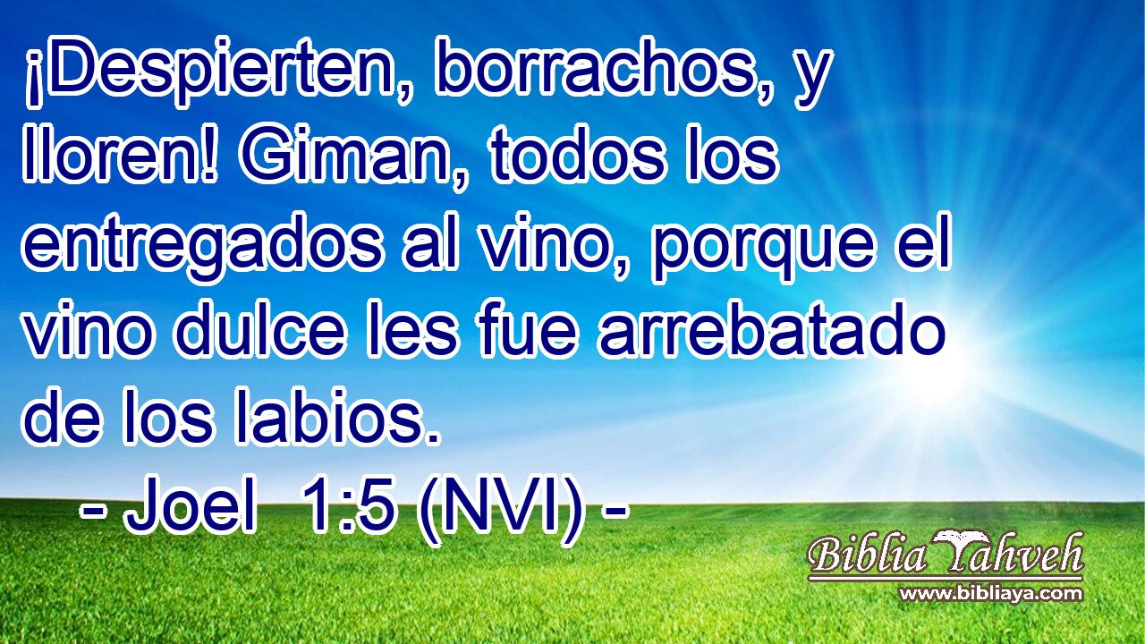 ¡Despierten, borrachos, y lloren! Giman, todos los entregados al vino, porque el vino dulce les fue arrebatado de los labios. 