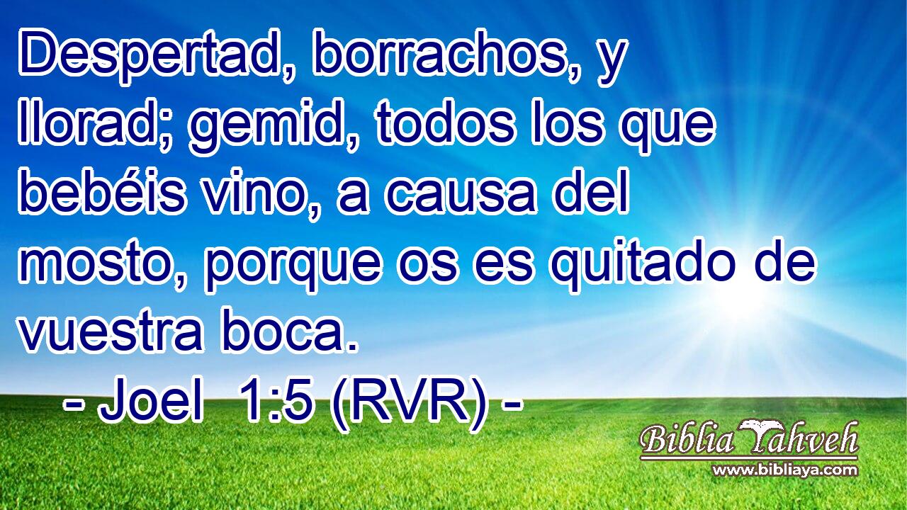 Despertad, borrachos, y llorad; gemid, todos los que bebéis vino, a causa del mosto, porque os es quitado de vuestra boca.