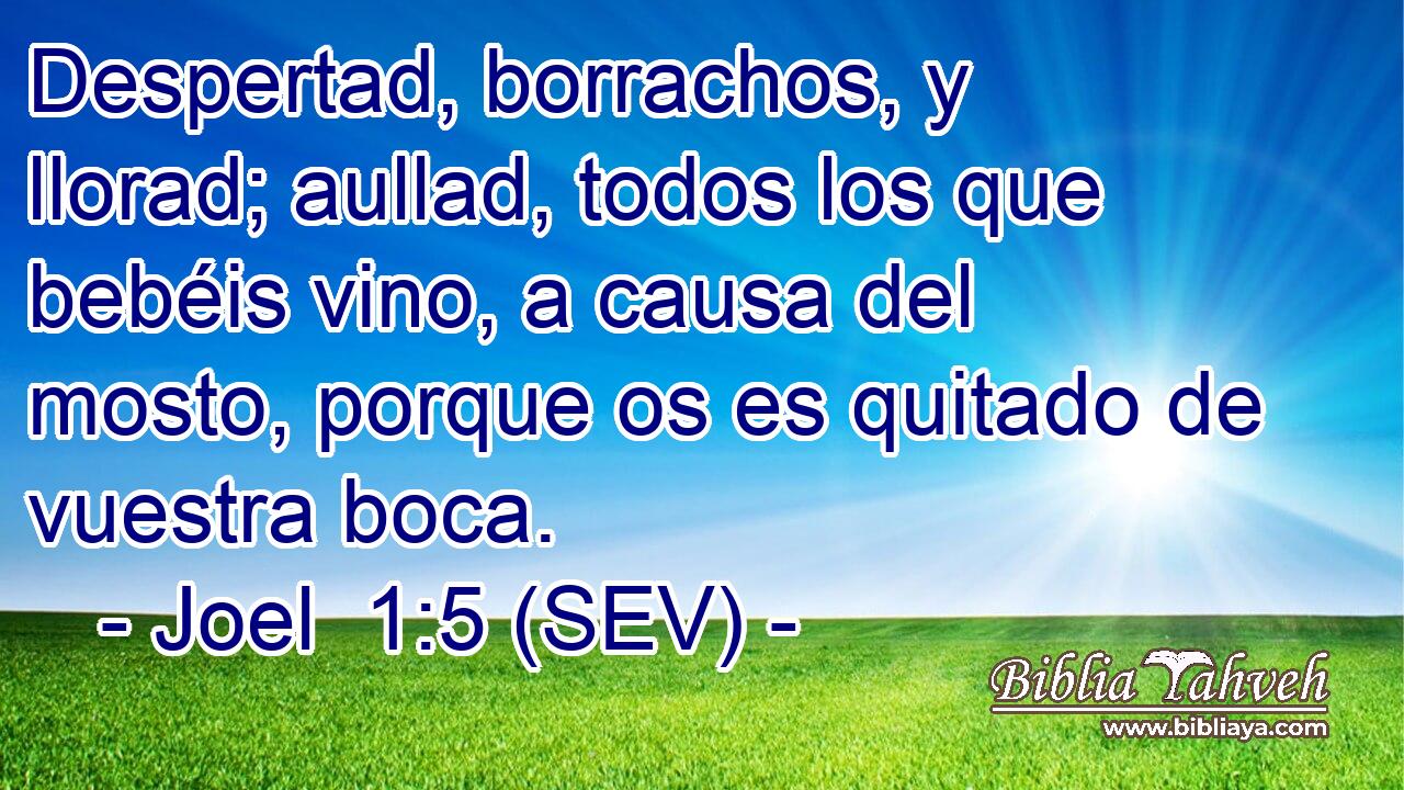 Despertad, borrachos, y llorad; aullad, todos los que bebéis vino, a causa del mosto, porque os es quitado de vuestra boca.