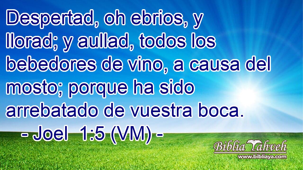  Despertad, oh ebrios, y llorad; y aullad, todos los bebedores de vino, a causa del mosto; porque ha sido arrebatado de vuestra boca. 