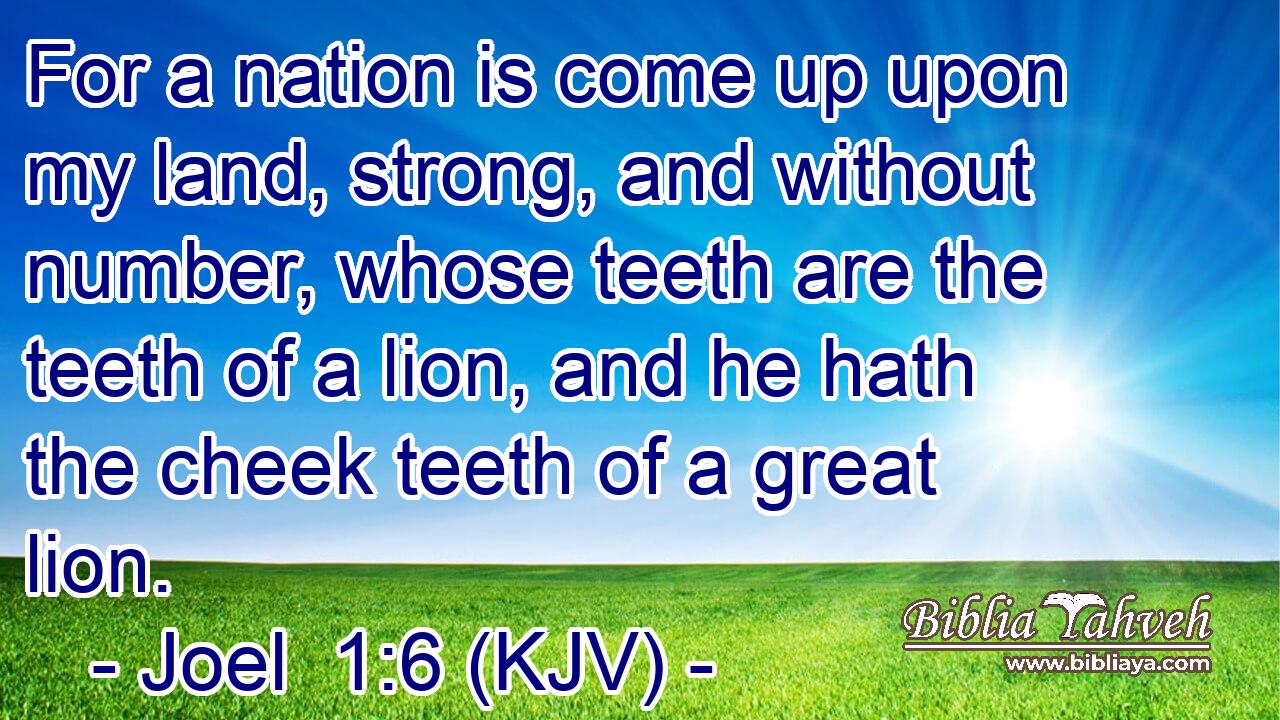 For a nation is come up upon my land, strong, and without number, whose teeth are the teeth of a lion, and he hath the cheek teeth of a great lion.