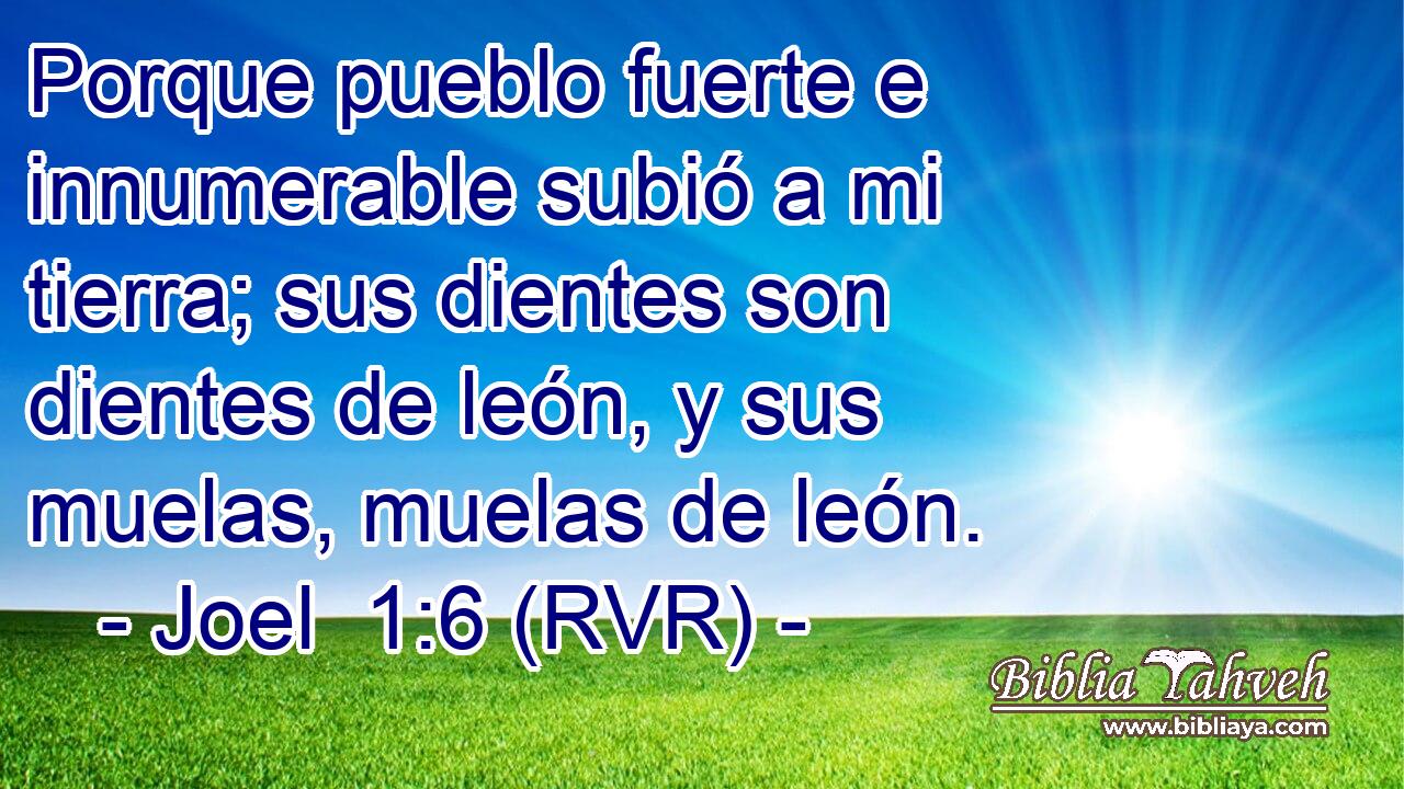 Porque pueblo fuerte e innumerable subió a mi tierra; sus dientes son dientes de león, y sus muelas, muelas de león.