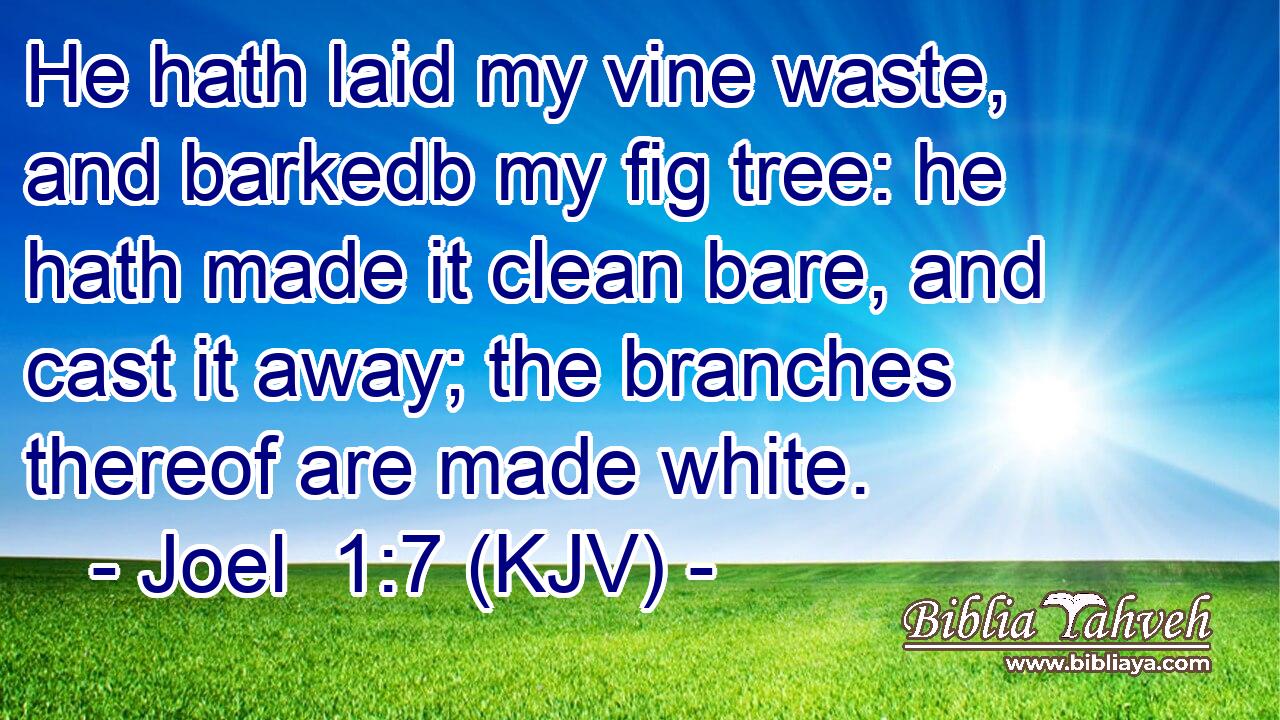 He hath laid my vine waste, and barkedb my fig tree: he hath made it clean bare, and cast it away; the branches thereof are made white.
