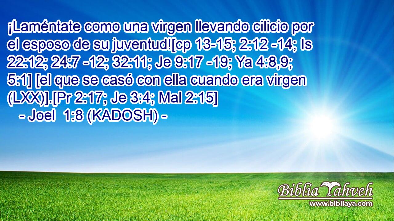  ¡Laméntate como una virgen llevando cilicio por el esposo de su juventud![cp 13-15; 2:12 -14; Is 22:12; 24:7 -12; 32:11; Je 9:17 -19; Ya 4:8,9; 5:1] [el que se casó con ella cuando era virgen (LXX)].[Pr 2:17; Je 3:4; Mal 2:15] 