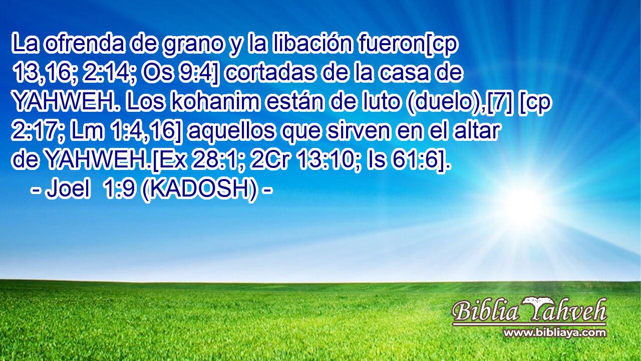  La ofrenda de grano y la libación fueron[cp 13,16; 2:14; Os 9:4] cortadas de la casa de YAHWEH. Los kohanim están de luto (duelo),[7] [cp 2:17; Lm 1:4,16] aquellos que sirven en el altar de YAHWEH.[Ex 28:1; 2Cr 13:10; Is 61:6]. 