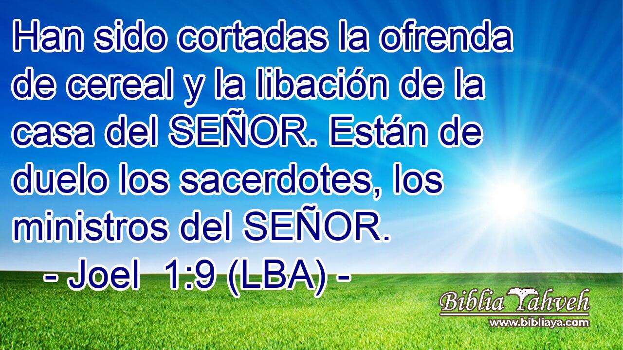 Han sido cortadas la ofrenda de cereal y la libación de la casa del SEÑOR. Están de duelo los sacerdotes, los ministros del SEÑOR.