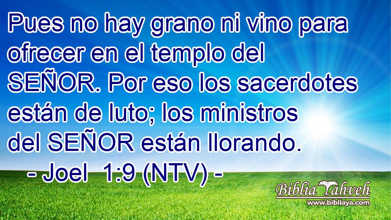 Pues no hay grano ni vino para ofrecer en el templo del SEÑOR. Por eso los sacerdotes están de luto; los ministros del SEÑOR están llorando.