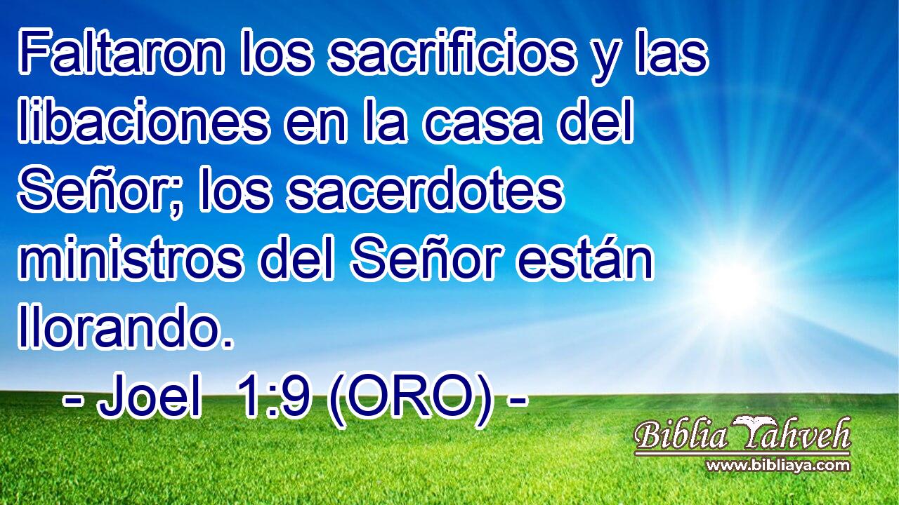  Faltaron los sacrificios y las libaciones en la casa del Señor; los sacerdotes ministros del Señor están llorando. 