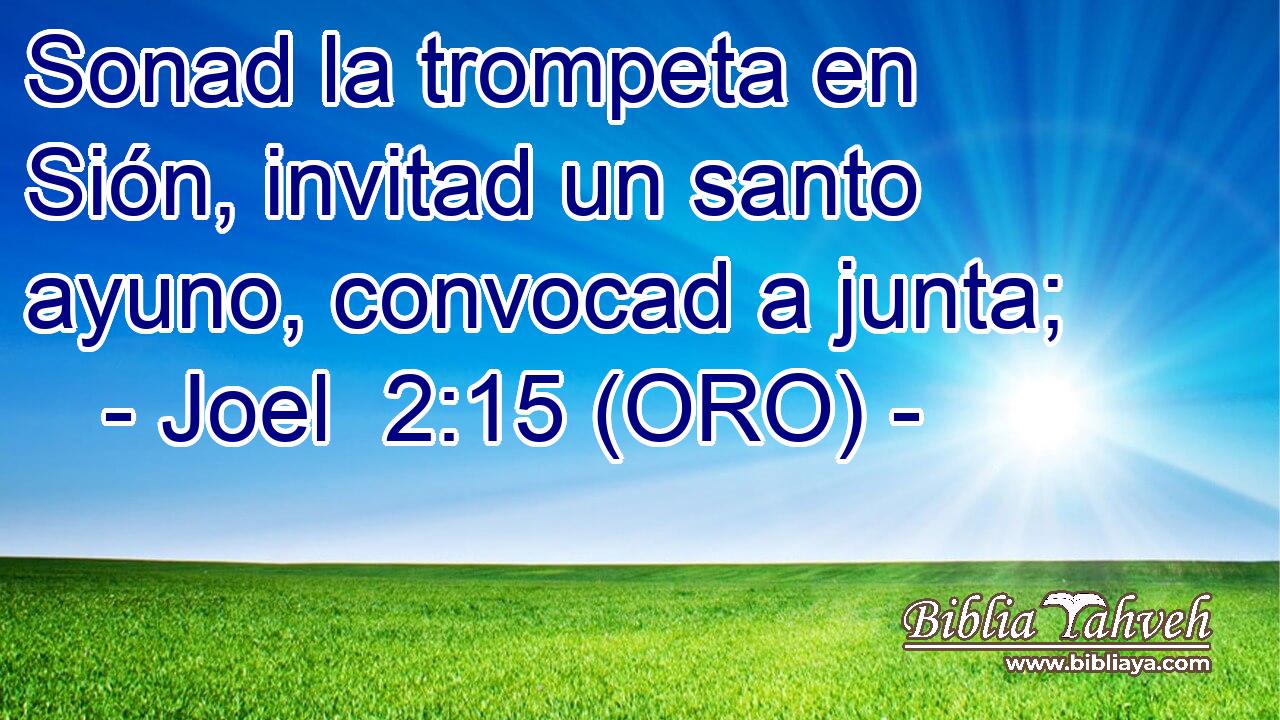  Sonad la trompeta en Sión, invitad un santo ayuno, convocad a junta; 