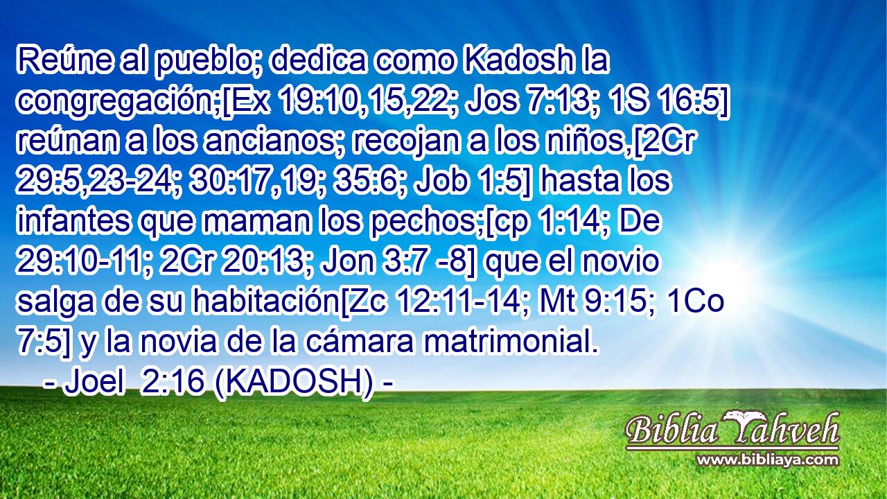  Reúne al pueblo; dedica como Kadosh la congregación;[Ex 19:10,15,22; Jos 7:13; 1S 16:5] reúnan a los ancianos; recojan a los niños,[2Cr 29:5,23-24; 30:17,19; 35:6; Job 1:5] hasta los infantes que maman los pechos;[cp 1:14; De 29:10-11; 2Cr 20:13; Jon 3:7 -8] que el novio salga de su habitación[Zc 12:11-14; Mt 9:15; 1Co 7:5] y la novia de la cámara matrimonial. 