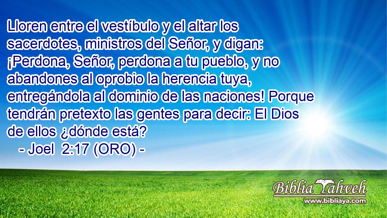  Lloren entre el vestíbulo y el altar los sacerdotes, ministros del Señor, y digan: ¡Perdona, Señor, perdona a tu pueblo, y no abandones al oprobio la herencia tuya, entregándola al dominio de las naciones! Porque tendrán pretexto las gentes para decir: El Dios de ellos ¿dónde está? 