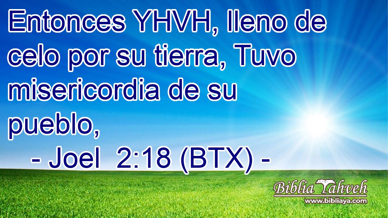 Entonces YHVH, lleno de celo por su tierra, Tuvo misericordia de su pueblo,