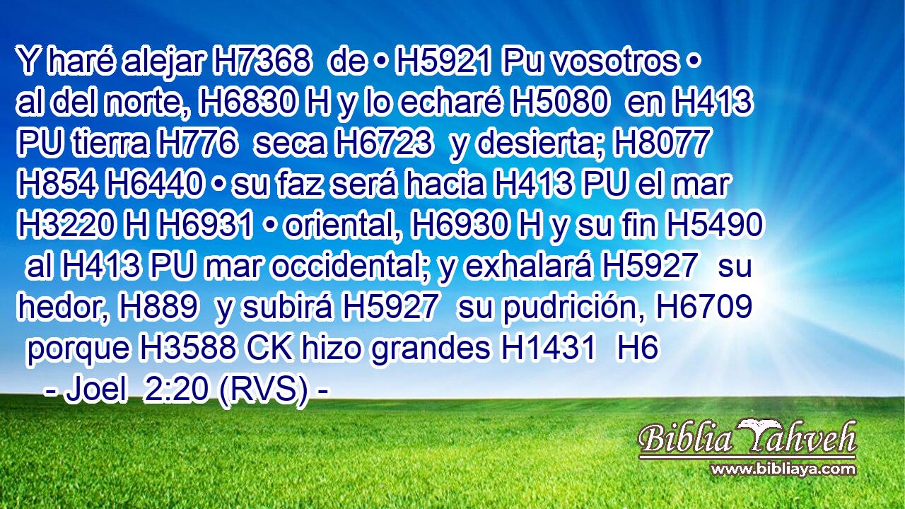 Y haré alejar H7368  de • H5921 Pu vosotros • al del norte, H6830 H y lo echaré H5080  en H413 PU tierra H776  seca H6723  y desierta; H8077  H854 H6440 • su faz será hacia H413 PU el mar H3220 H H6931 • oriental, H6930 H y su fin H5490  al H413 PU mar occidental; y exhalará H5927  su hedor, H889  y subirá H5927  su pudrición, H6709  porque H3588 CK hizo grandes H1431  H6