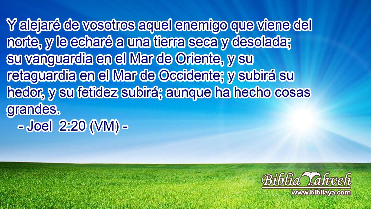  Y alejaré de vosotros aquel enemigo que viene del norte, y le echaré a una tierra seca y desolada; su vanguardia en el Mar de Oriente, y su retaguardia en el Mar de Occidente; y subirá su hedor, y su fetidez subirá; aunque ha hecho cosas grandes. 
