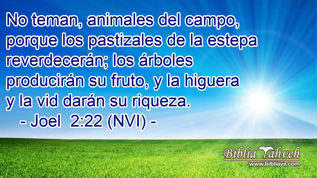  No teman, animales del campo, porque los pastizales de la estepa reverdecerán; los árboles producirán su fruto, y la higuera y la vid darán su riqueza. 