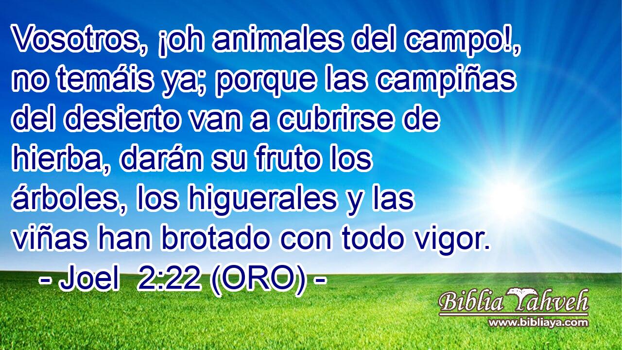  Vosotros, ¡oh animales del campo!, no temáis ya; porque las campiñas del desierto van a cubrirse de hierba, darán su fruto los árboles, los higuerales y las viñas han brotado con todo vigor. 