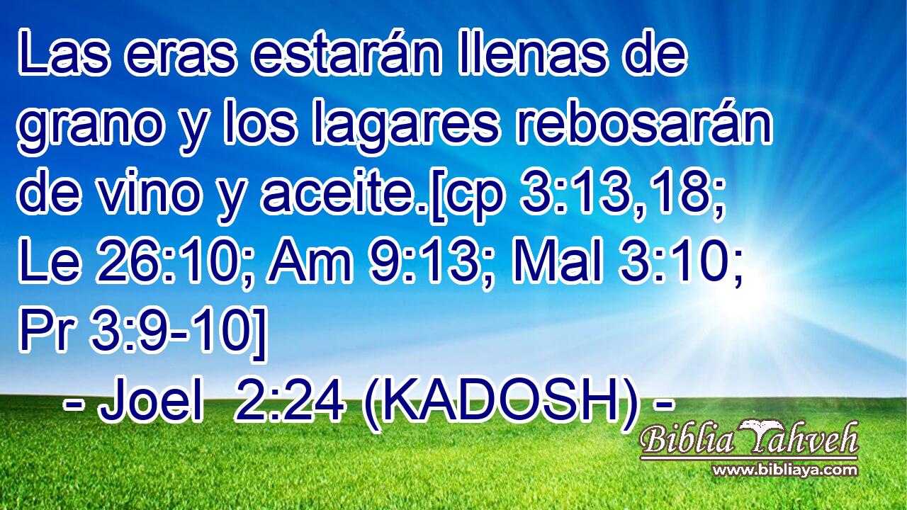  Las eras estarán llenas de grano y los lagares rebosarán de vino y aceite.[cp 3:13,18; Le 26:10; Am 9:13; Mal 3:10; Pr 3:9-10] 