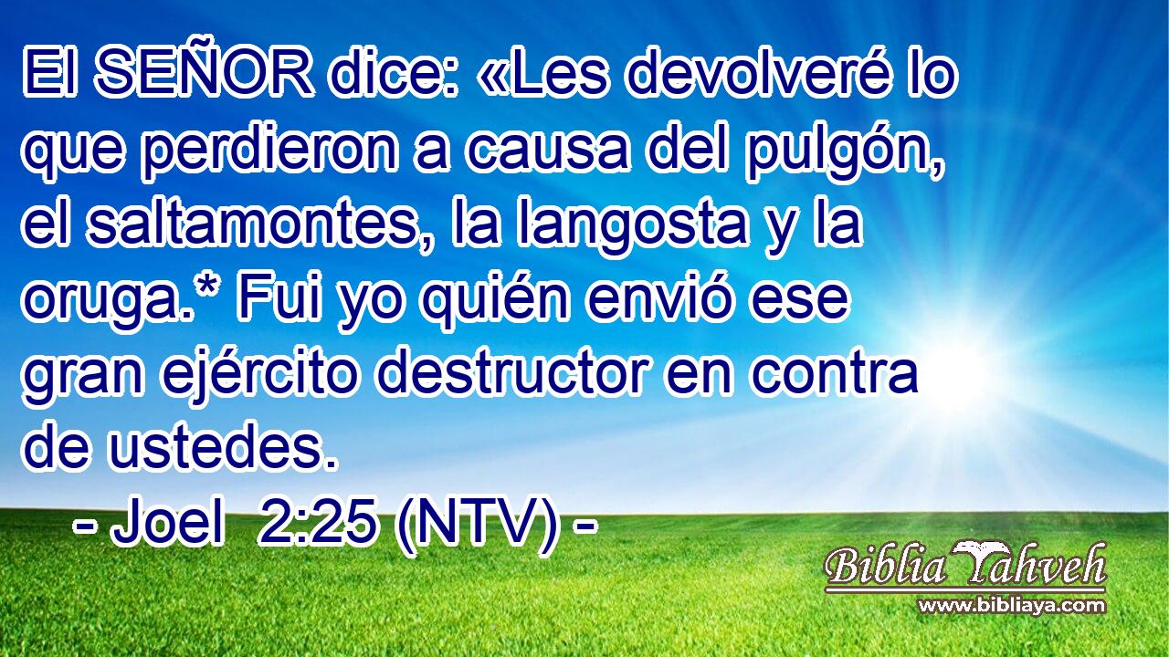 El SEÑOR dice: «Les devolveré lo que perdieron a causa del pulgón, el saltamontes, la langosta y la oruga.* Fui yo quién envió ese gran ejército destructor en contra de ustedes.