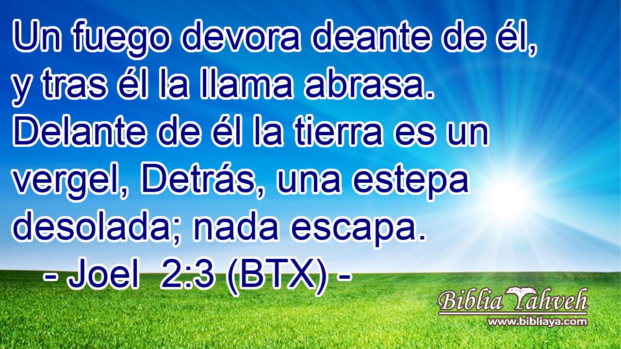 Un fuego devora deante de él, y tras él la llama abrasa. Delante de él la tierra es un vergel, Detrás, una estepa desolada; nada escapa.