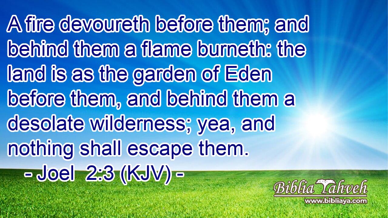 A fire devoureth before them; and behind them a flame burneth: the land is as the garden of Eden before them, and behind them a desolate wilderness; yea, and nothing shall escape them.
