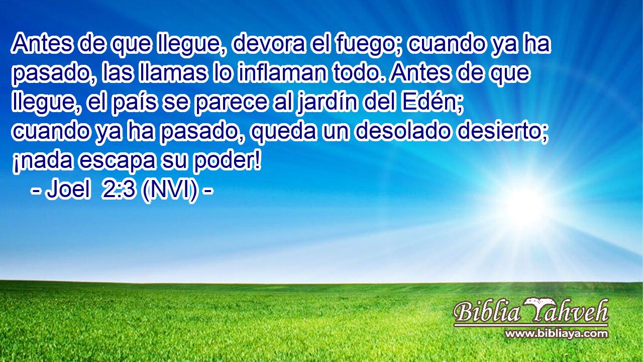  Antes de que llegue, devora el fuego; cuando ya ha pasado, las llamas lo inflaman todo. Antes de que llegue, el país se parece al jardín del Edén; cuando ya ha pasado, queda un desolado desierto; ¡nada escapa su poder! 