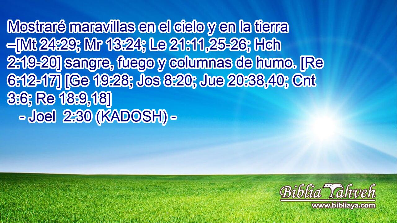  Mostraré maravillas en el cielo y en la tierra –[Mt 24:29; Mr 13:24; Le 21:11,25-26; Hch 2:19-20] sangre, fuego y columnas de humo. [Re 6:12-17] [Ge 19:28; Jos 8:20; Jue 20:38,40; Cnt 3:6; Re 18:9,18] 