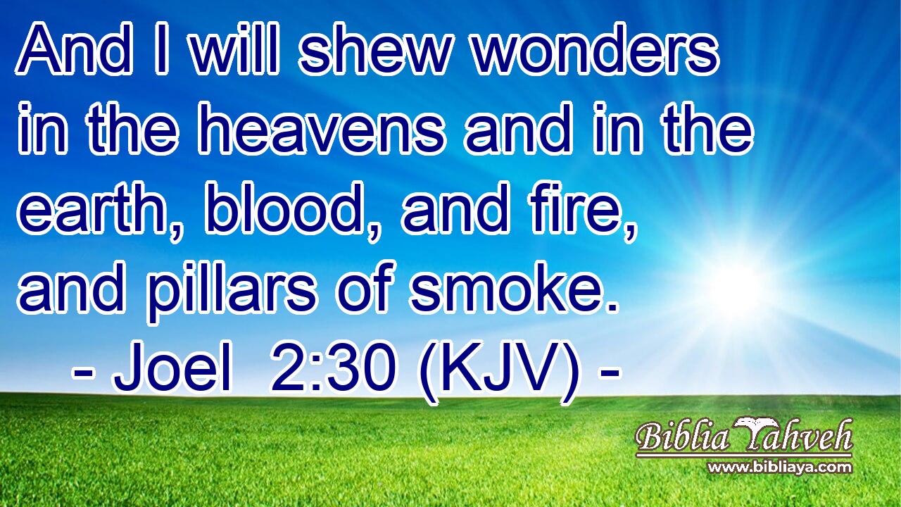 And I will shew wonders in the heavens and in the earth, blood, and fire, and pillars of smoke.