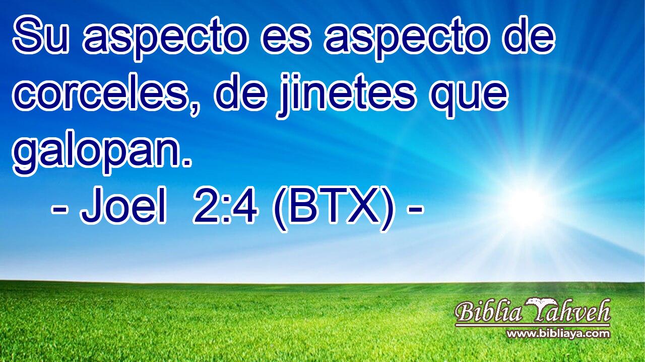 Su aspecto es aspecto de corceles, de jinetes que galopan.