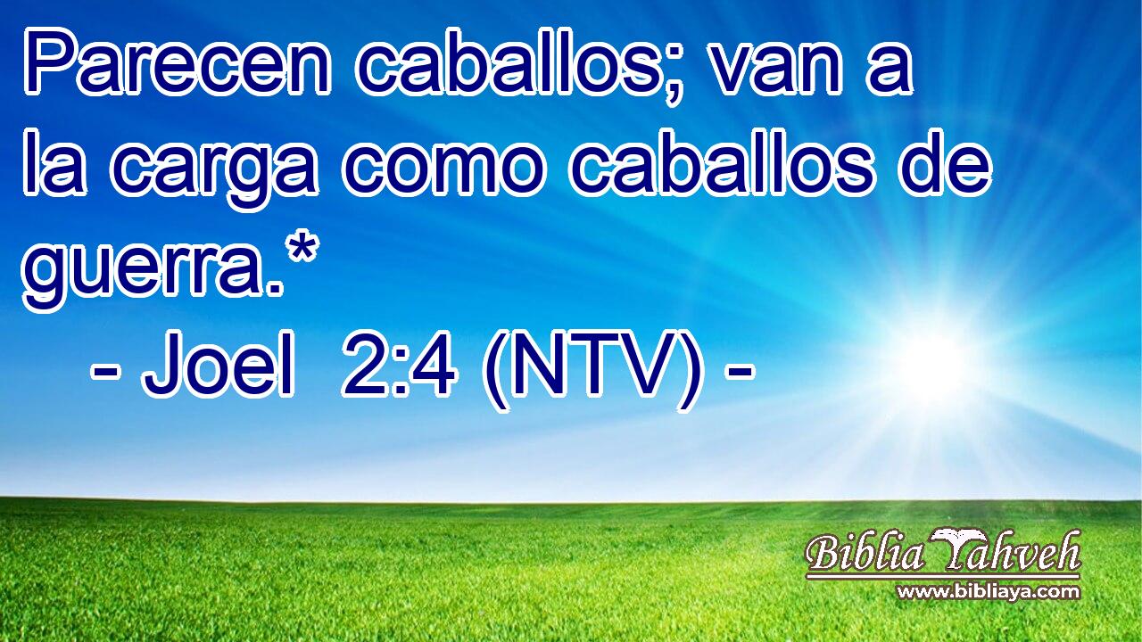 Parecen caballos; van a la carga como caballos de guerra.*